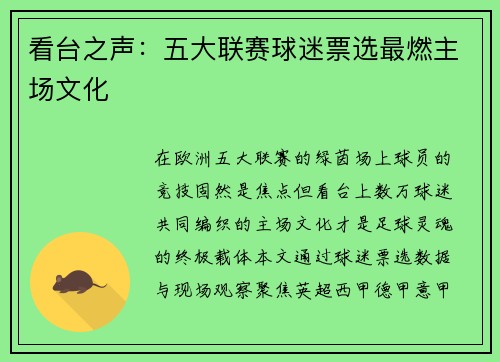 看台之声：五大联赛球迷票选最燃主场文化